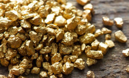 Aporrea: Otorgaron concesión del oro a la misma empresa que le habían revocado el permiso