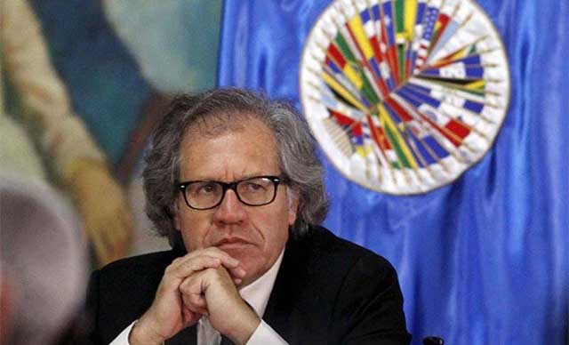Almagro advierte que OEA ‘velará’ para que Venezuela ‘no consolide dictadura’